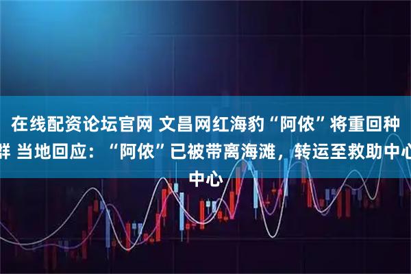 在线配资论坛官网 文昌网红海豹“阿侬”将重回种群 当地回应：“阿侬”已被带离海滩，转运至救助中心