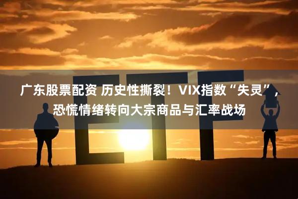 广东股票配资 历史性撕裂！VIX指数“失灵”，恐慌情绪转向大宗商品与汇率战场